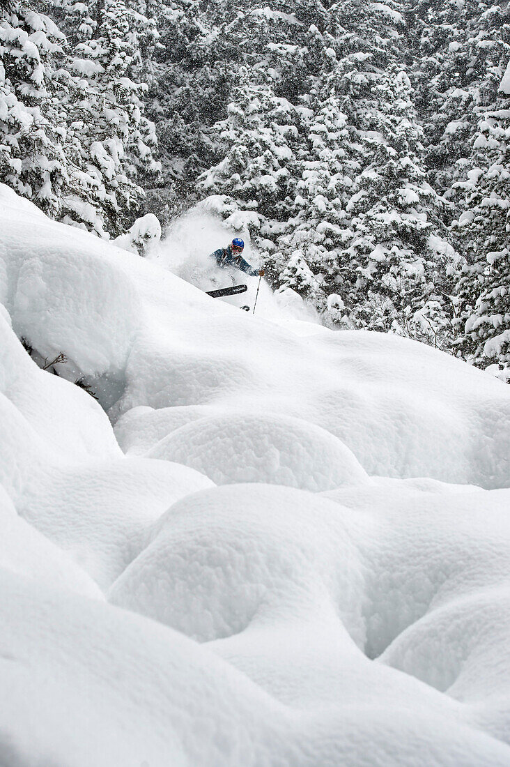 Skier in the woods sking down in fresh powder snow, Gerlos, Zillertal, Austria