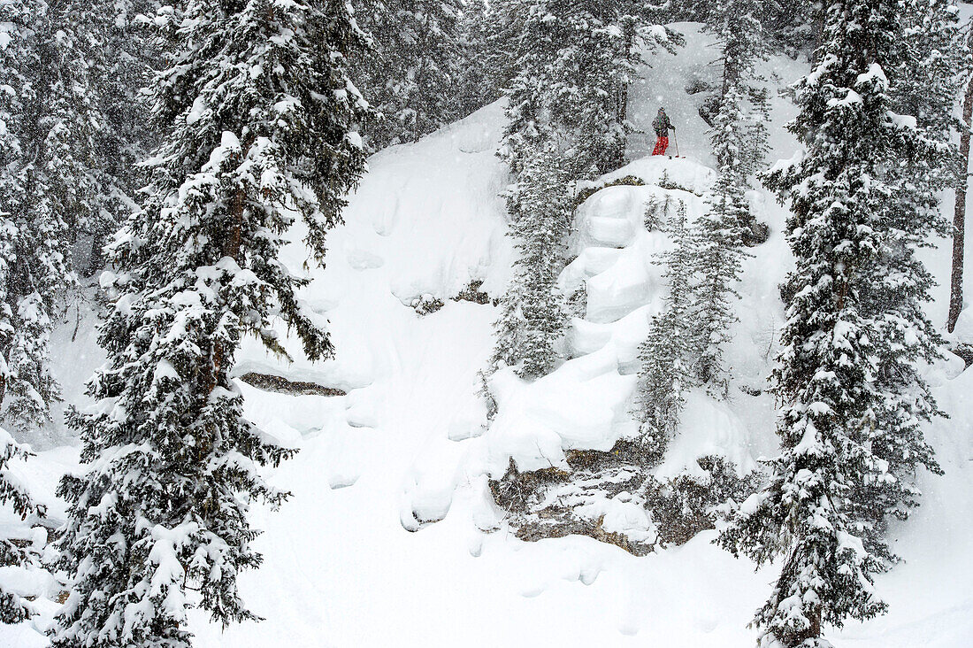 Skifahrer im Wald bei Schneetreiben sucht nach dem Weg, Gerlos, Zillertal, Österreich