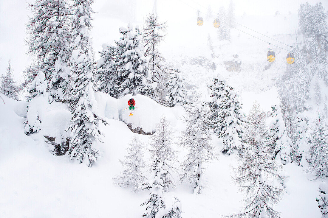 Powder in the woods after a record-snowfall, Corvara, Dolomites, Italy