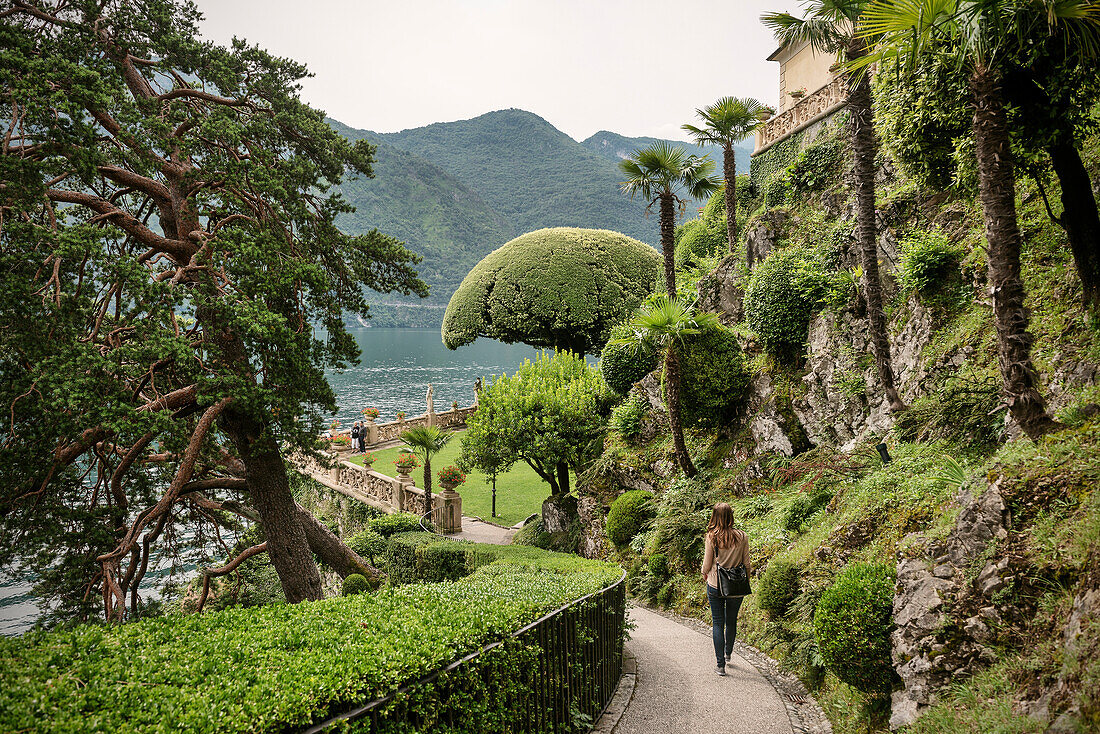 Garden at Lenno, Lake Como, Lombardy, Italy, Europe