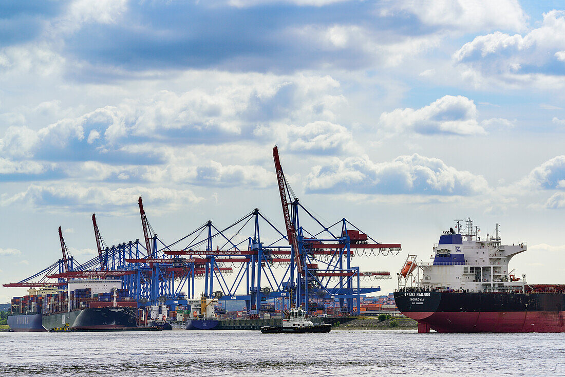 Frachtschiffe am Container-Terminal Altenwerder an der Elbe, Altenwerder, Hamburg, Deutschland