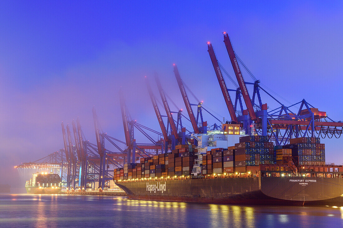 Container ships at illuminated container terminal Burchardkai at night, Waltershof, Hamburg, Germany