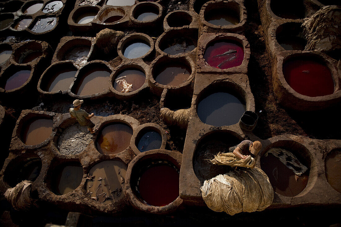 A man laden with raw leather hides walks barefoot over the open pots of leather stains and dyes at an ancient Moroccan tannery.