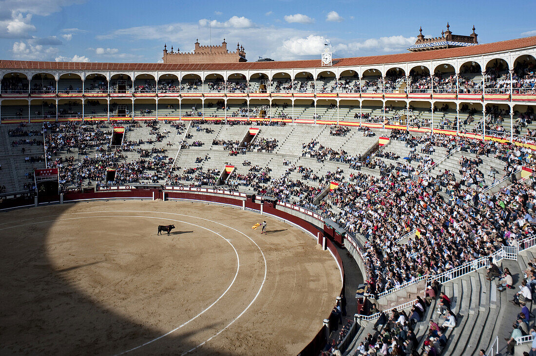 May 1, 2011 - Madrid, Spain : A torero, waves his cape at a bull during a bull fight in the Plaza de Toros de Las Ventas, Madrid, Spain's premiere bullfighting venue. The Plaza de Toros de Las Ventas, located in Madrid's Guindalera neighborhood in the Sal