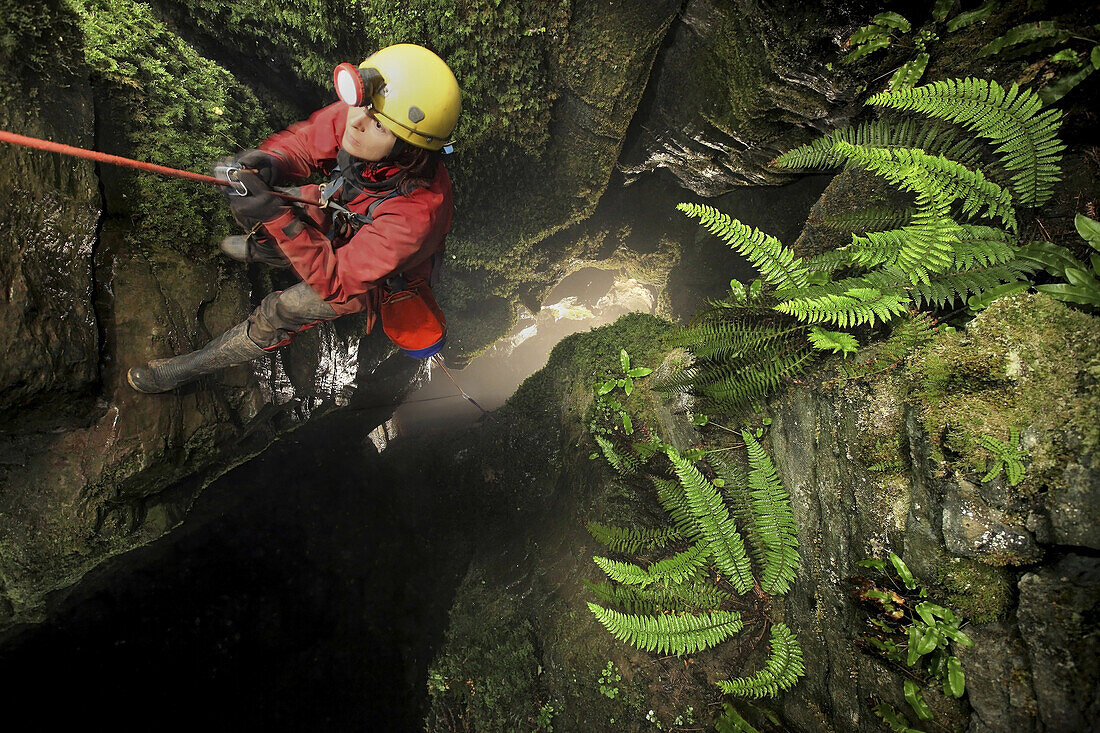 A female cave explorer climbs up the entrance pitch rope out of Cow Pot, a classic cave in the Yorkshire Dales, England.