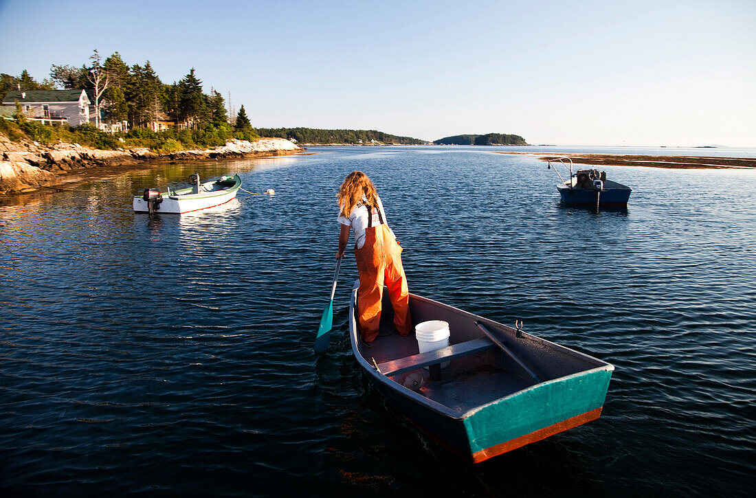 SEBASCO, MAINE, USA. A woman paddles her boat in a small harbor at sunset after she's been collecting lobster from underwater traps off the coast.