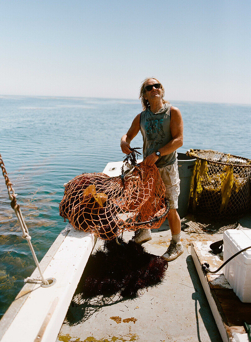 A worker aboard the boat Erin B. offloads a net of sea urchins onto the deck,  where they are inspected and counted.