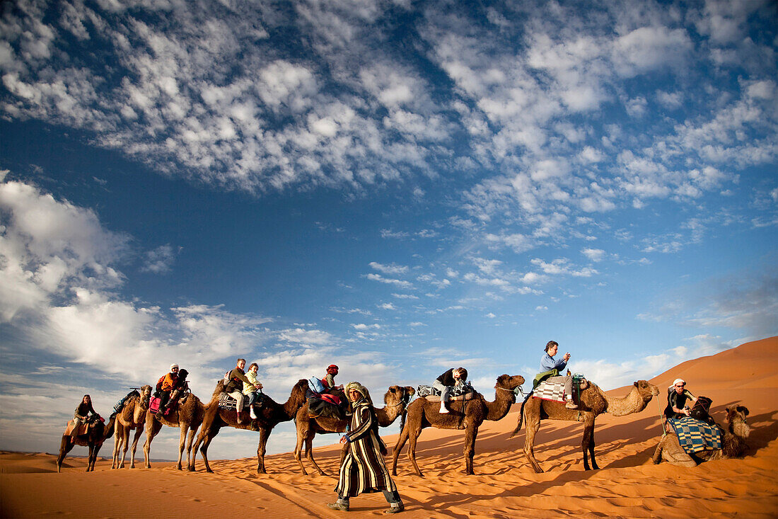 A berber camel guide leads a group of tourists in a camel caravan into the desert in Morocco
