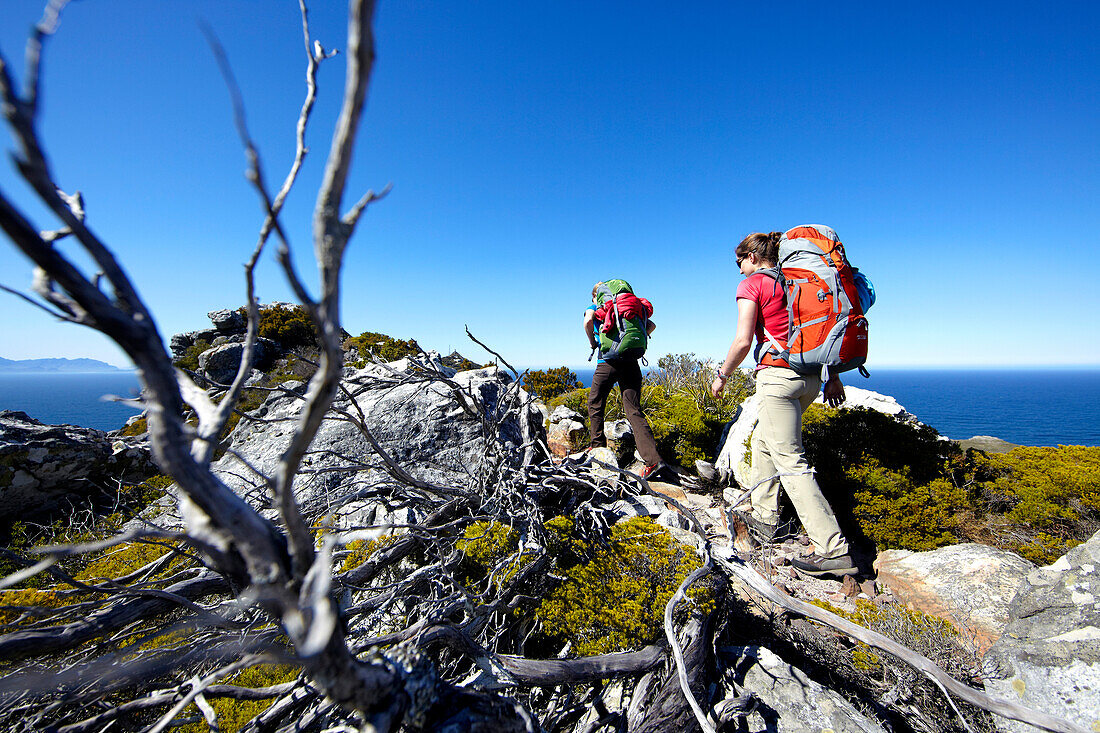 Katrin Schneider and Susann Scheller hiking on the Hoerikwaggo Trail from Cape Point to Table Mountain in Cape Town. South Africa.