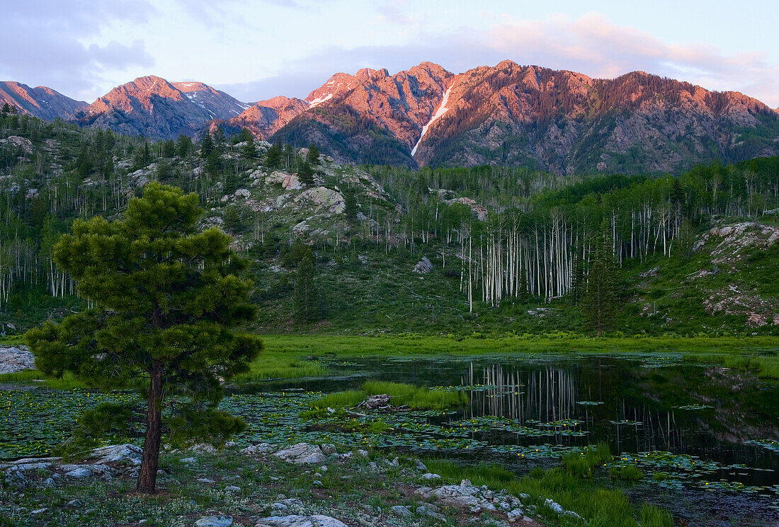 DURANGO, CO - JUNE 26: Sun catches the peaks of the San Juan Mountains, situated in southwest Colorado. The San Juans are part of the Rocky Mountains. A beaver pond below the mountains reflects Aspen trees in as the last bit of light fades to evening.