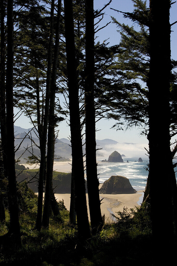 Through the trees at Ecola State Park - One can see the Haystacks rising out of the Fog and the salt of the Pacific.