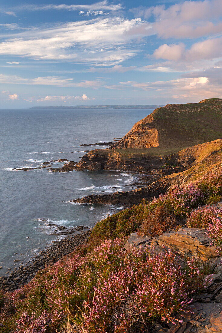 Little Barton Strand from Pencannow Point, Crackington Haven, Cornwall, England, United Kingdom, Europe