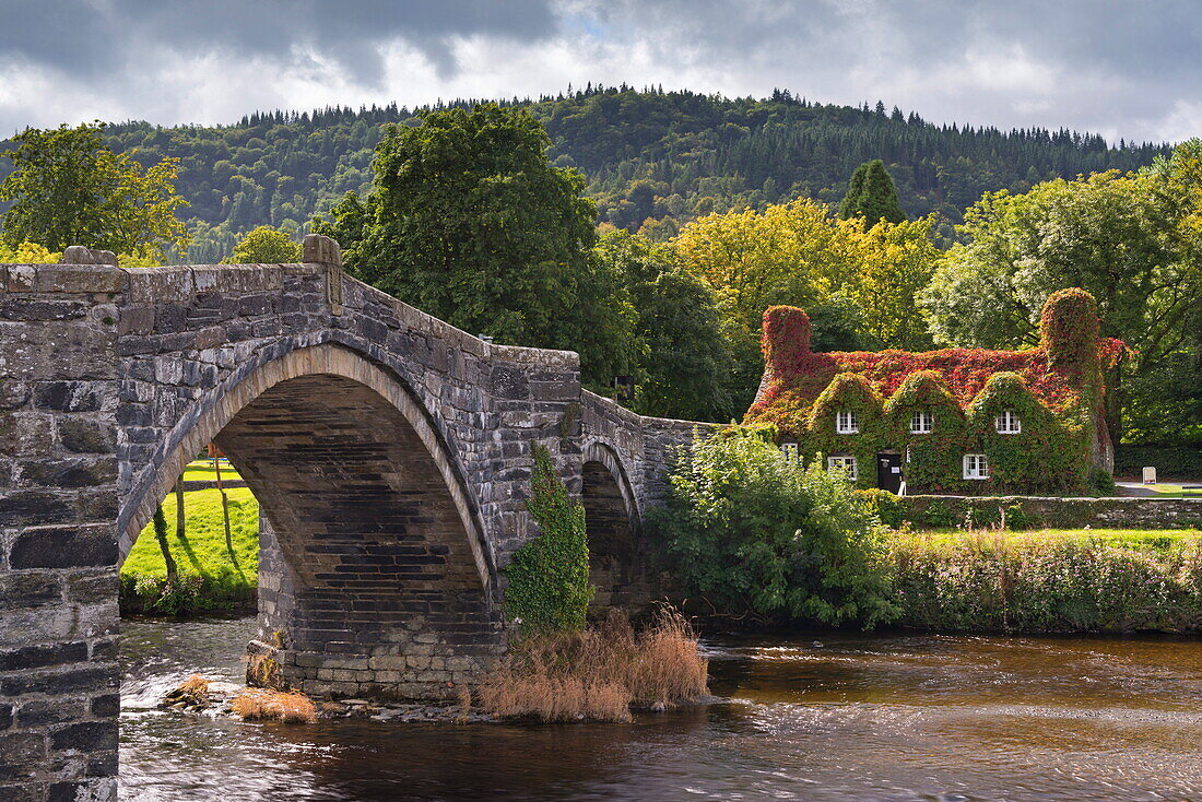 Ty Hwnt i'r Bont ivy covered cottage and tea rooms beside stone bridge crossing the River Conwy at Llanwrst, Snowdonia National Park, Wales, United Kingdom, Europe