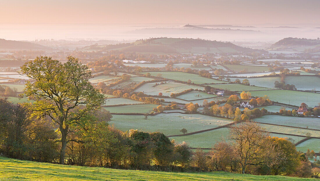Misty Glastonbury Tor and the Somerset Levels from the Mendip Hills, Somerset, England, United Kingdom, Europe
