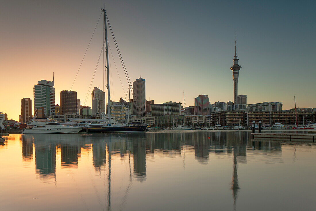 Sky Tower and Viaduct Harbour at dawn, Auckland, North Island, New Zealand, Pacific