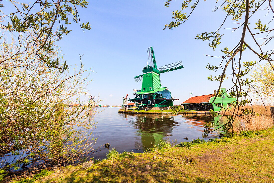 Preserved historic windmills and houses in Zaanse Schans, a village on the banks of the river Zaan, near Amsterdam, it is a popular tourist attraction and working museum, Zaandam, North Holland, Netherlands