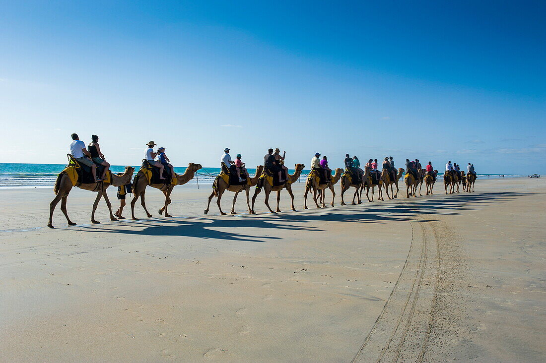 Tourists riding on camels on Cable Beach, Broome, Western Australia, Australia, Pacific