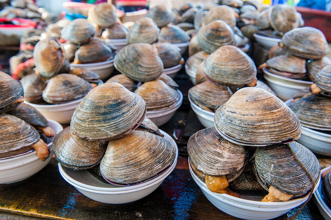 Mussels for sale at the fish market in Busan, South Korea, Asia