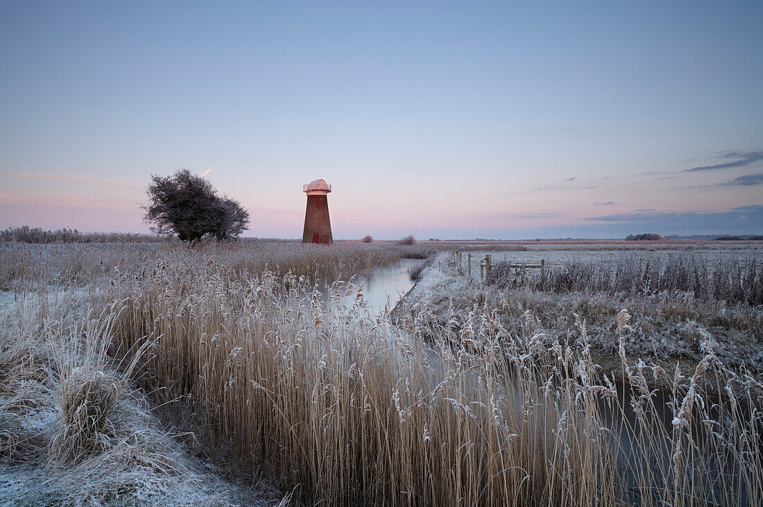 A frosty morning in the Norfolk Broads at West Somerton, Norfolk, England, United Kingdom, Europe