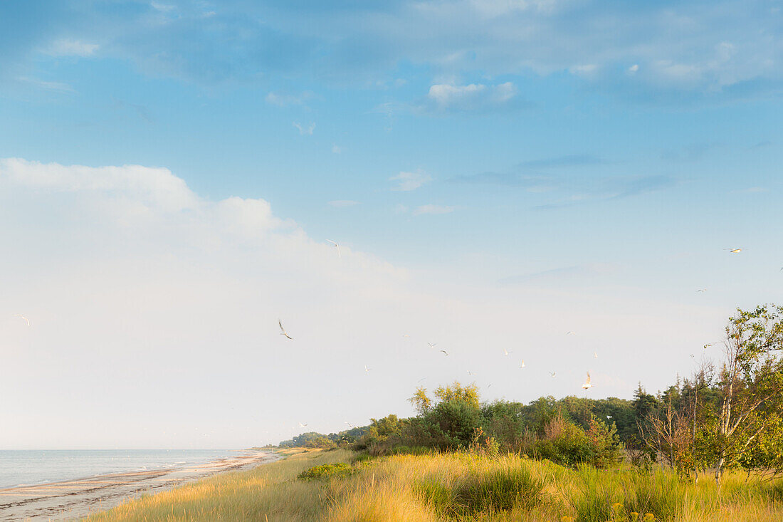 Coastal scenery, Marielyst, Falster, Denmark