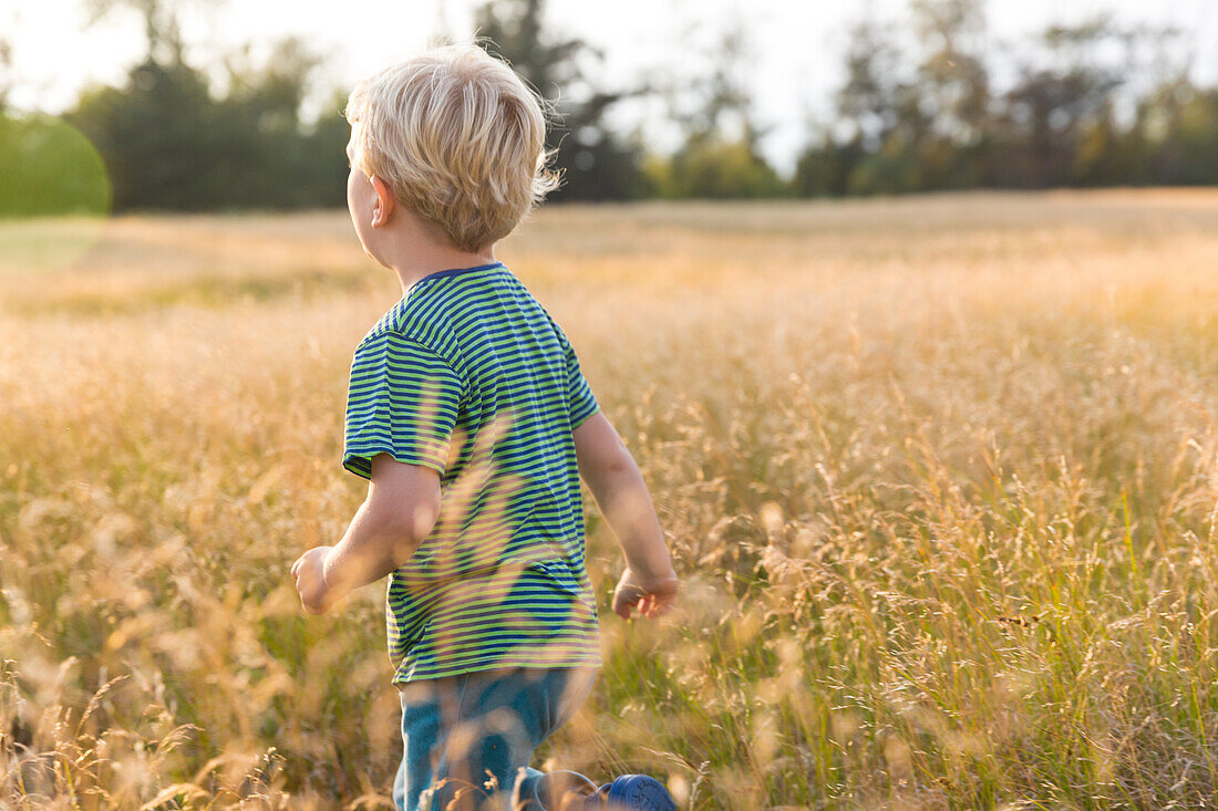 Junge (4 Jahre) läuft über eine Wiese, Marielyst, Falster, Dänemark