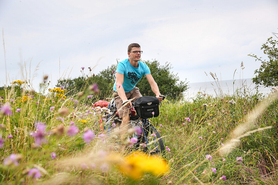 Cyclist passing a meadow, Marielyst, Falster, Denmark