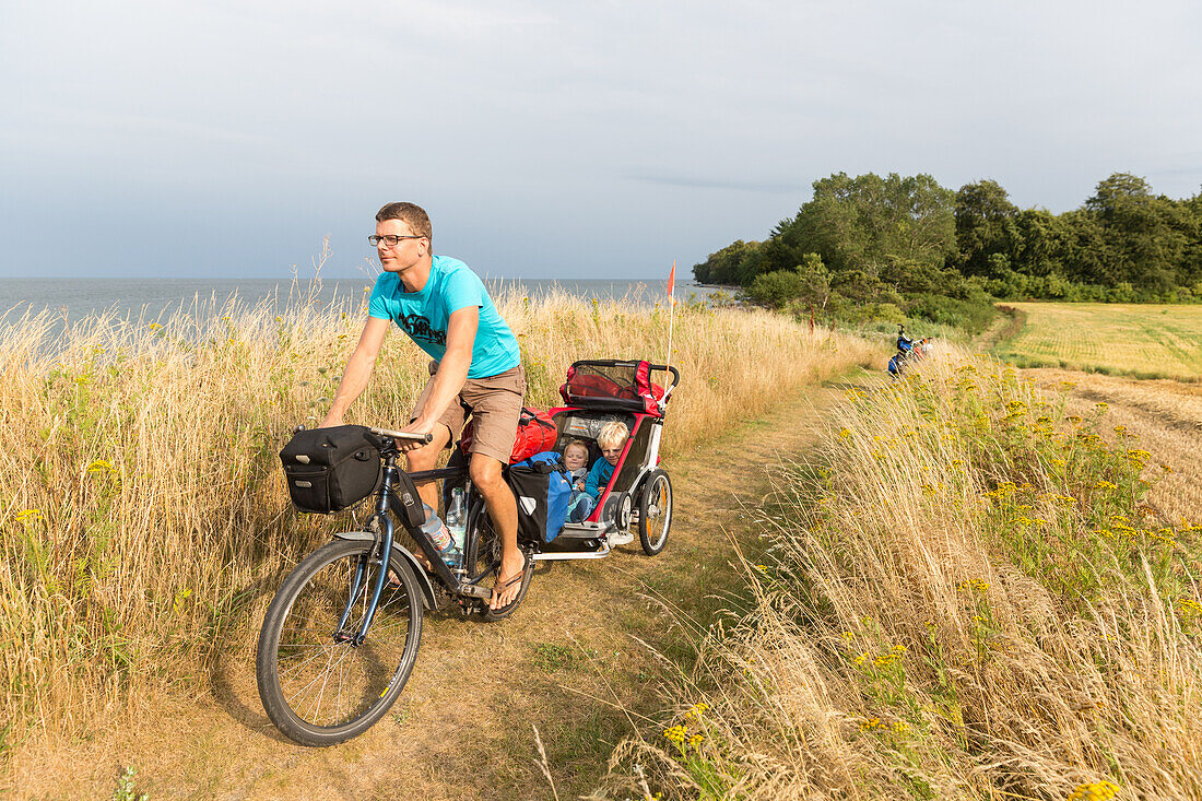 Cyclist with child trailer cycling along coastal path, Naesgaard, Falster, Denmark