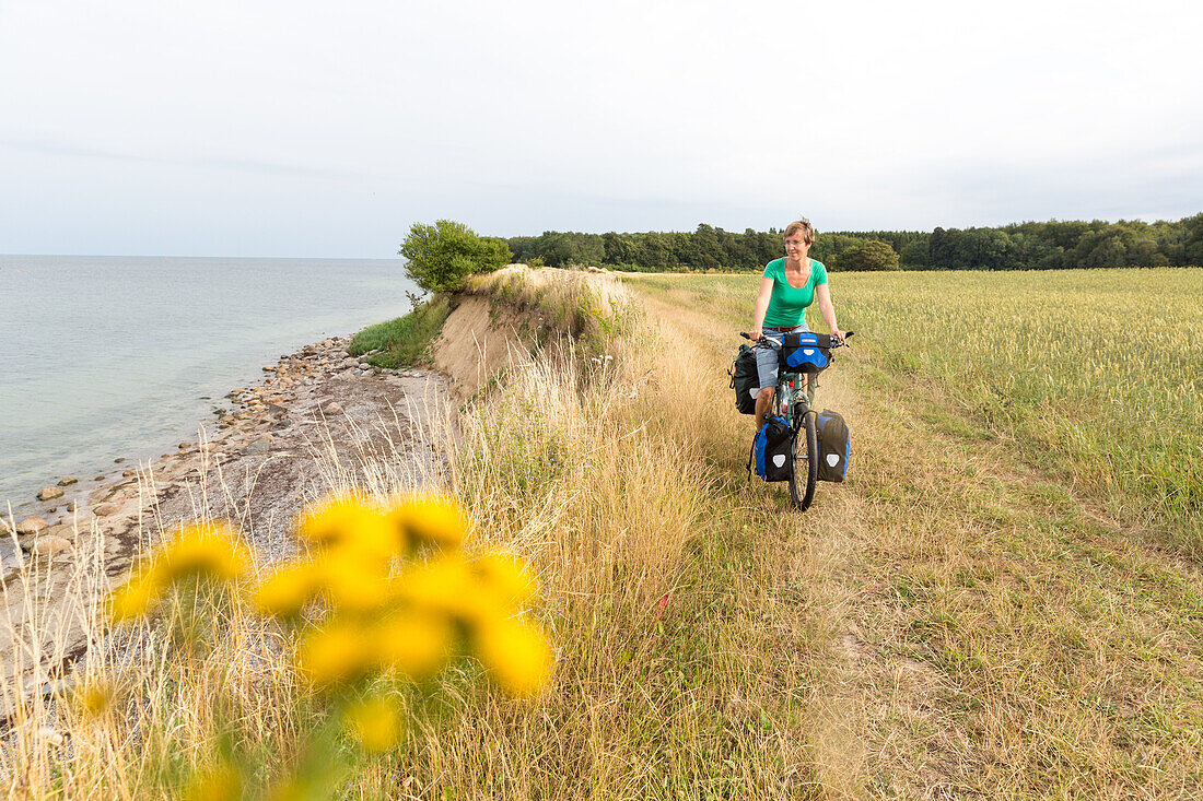 Woman cycling along Baltic Sea, Naesgaard, Falster, Denmark