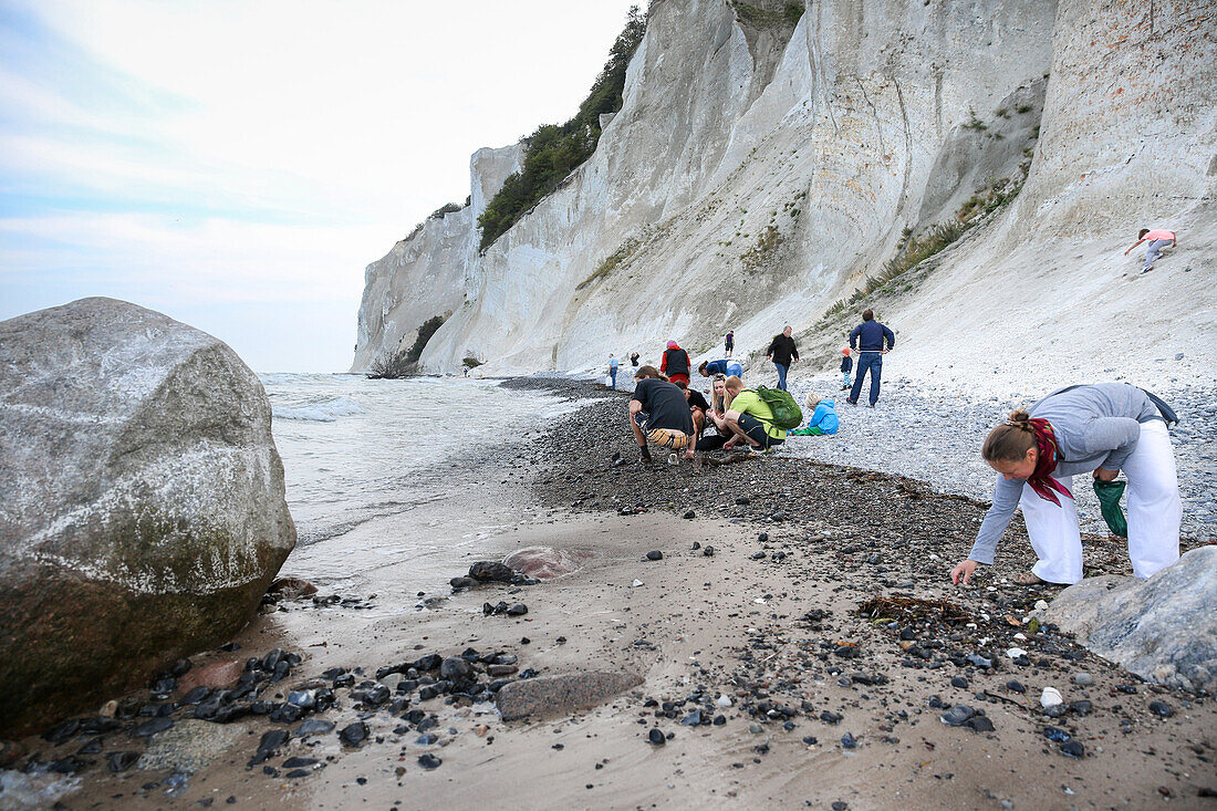 Tourists visiting chalk cliffs Mons Klint, Klintholm, Island Mon, Denmark