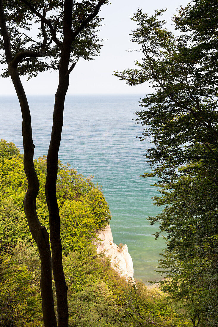 Chalk cliffs Mons Klint, Klintholm, Mon island, Denmark