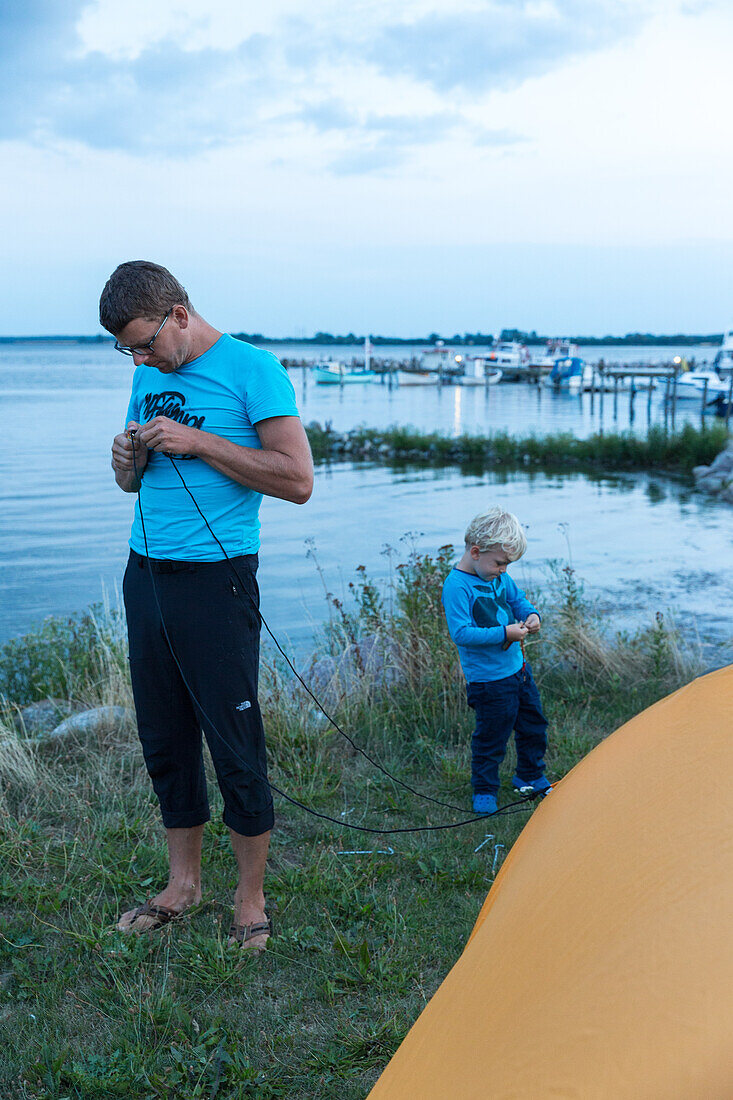 Vater und Sohn (4 Jahre) bauen Zelt auf, Guldborg, Falster, Dänemark
