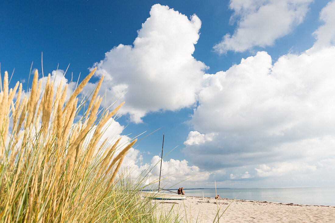 Sandy beach, Marielyst, Falster, Denmark