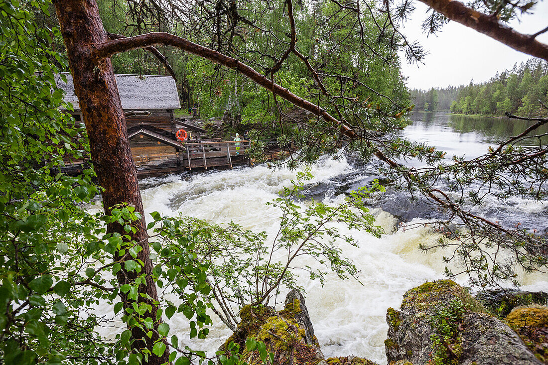 Myllykoski Stromschnelle, Fluss Kitkajoki, Nationalpark Oulanka, Nordösterbotten, Finnland