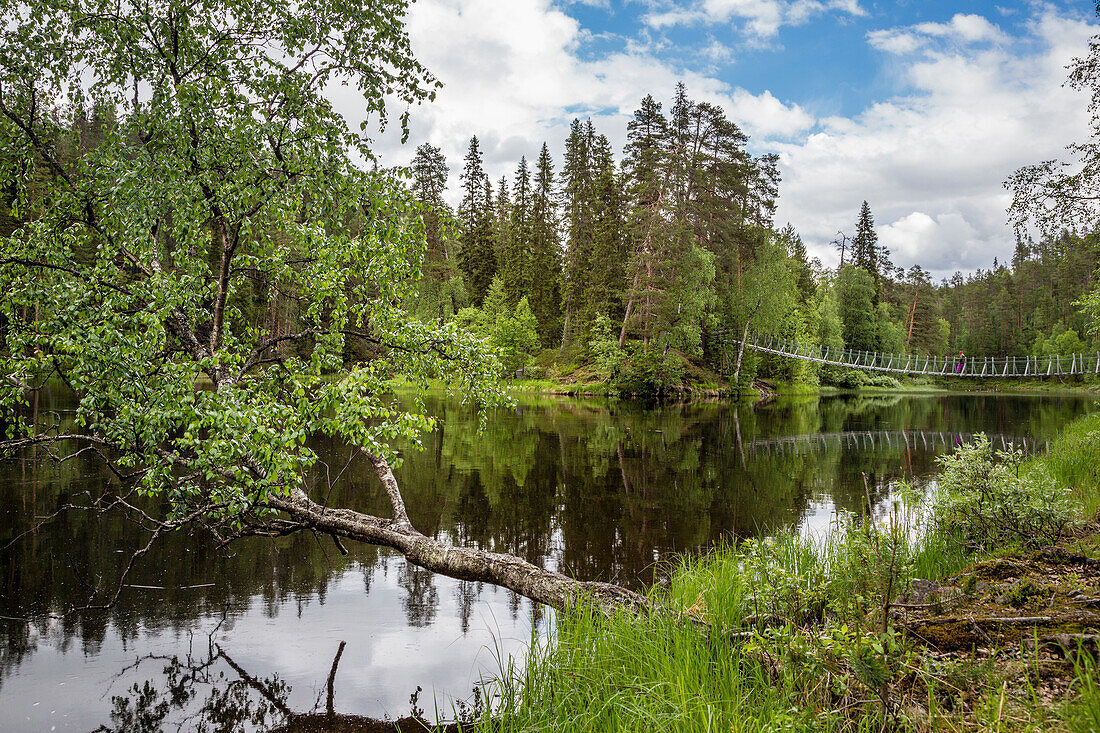 Kleine Bärenrunde (Pieni Karhunkierros), Nationalpark Oulanka, Nordösterbotten, Finnland