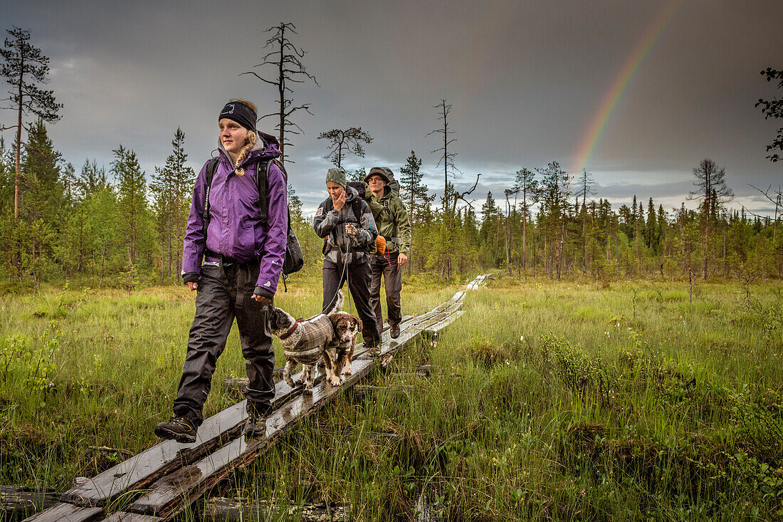 Three hikers on the Karhunkierros hiking trail, Oulanka National Park, Northern Ostrobothnia, Finland