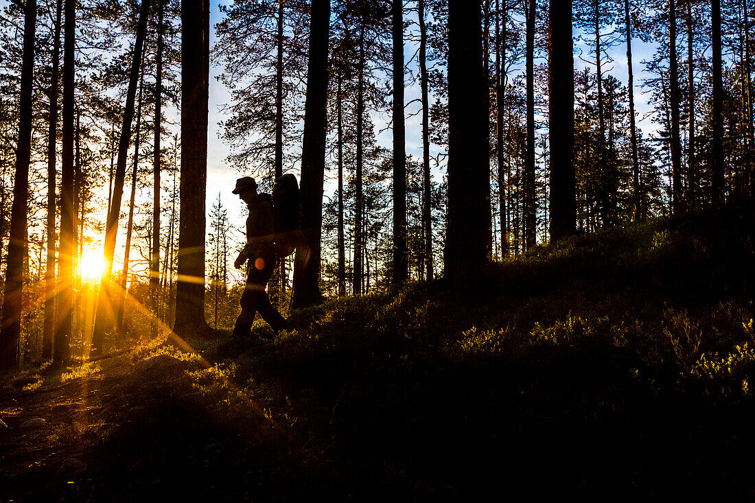 Wanderer in Mitternachtssonne auf der Bärenrunde, Karhunkierros, Nationalpark Oulanka, Nordösterbotten, Finnland