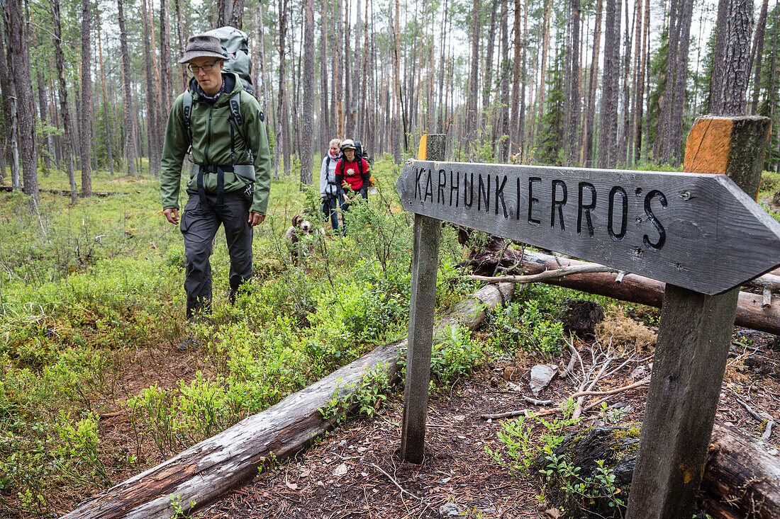 Wanderer auf der Bärenrunde, Karhunkierros, Nationalpark Oulanka, Nordösterbotten, Finnland