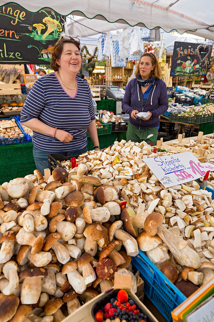 Schwammerlstand mit Steinpilzen am Viktualienmarkt, München, Oberbayern, Bayern, Deutschland