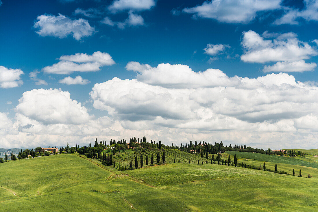 Landscape near Crete Senesi, near Siena, Tuscany, Italy