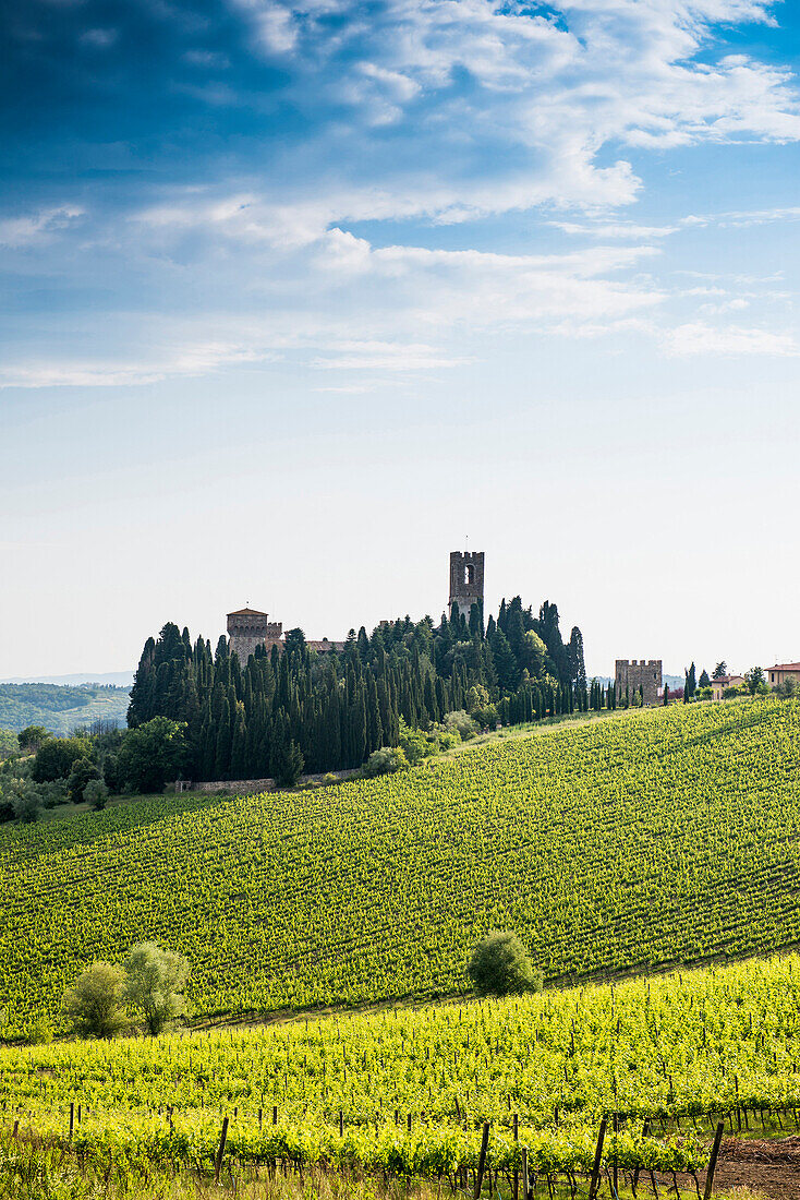 Badia di Passignano, bei Greve, Chianti, Toskana, Italien