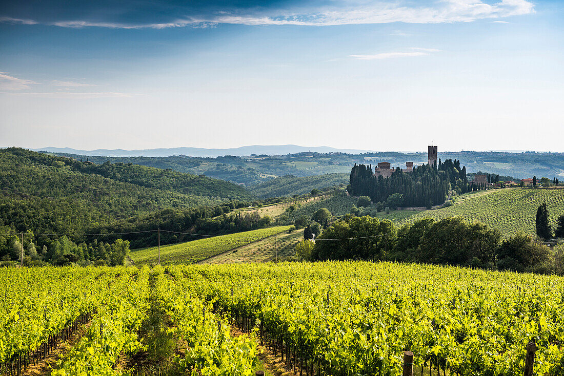 Badia di Passignano, bei Greve, Chianti, Toskana, Italien