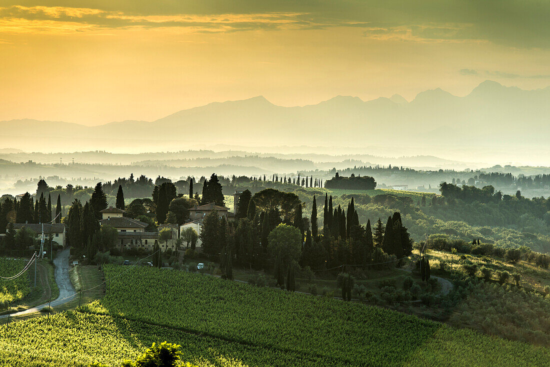 Badia a Coltibuono, near Gaiole, Chianti, Tuscany, Italy