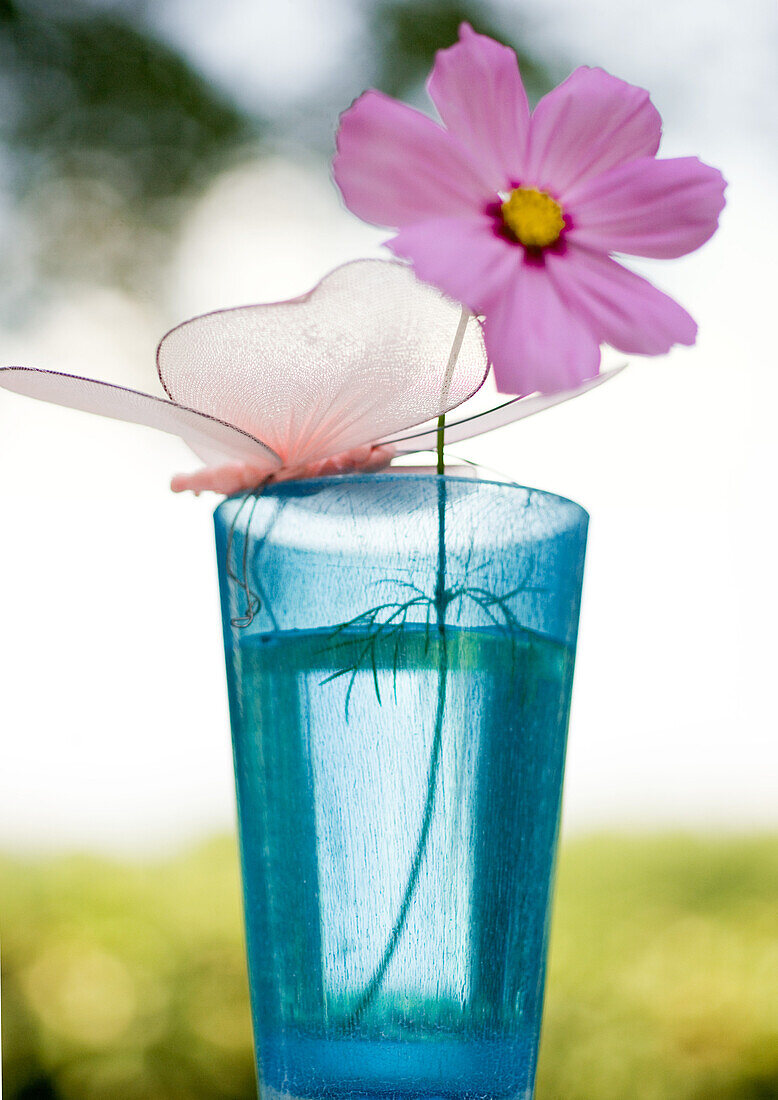 Cosmos flower in glass with fake butterfly