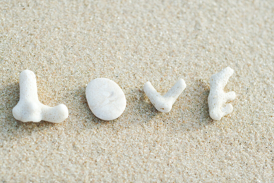 'Coral pieces spelling out the word ''love'' on the beach'