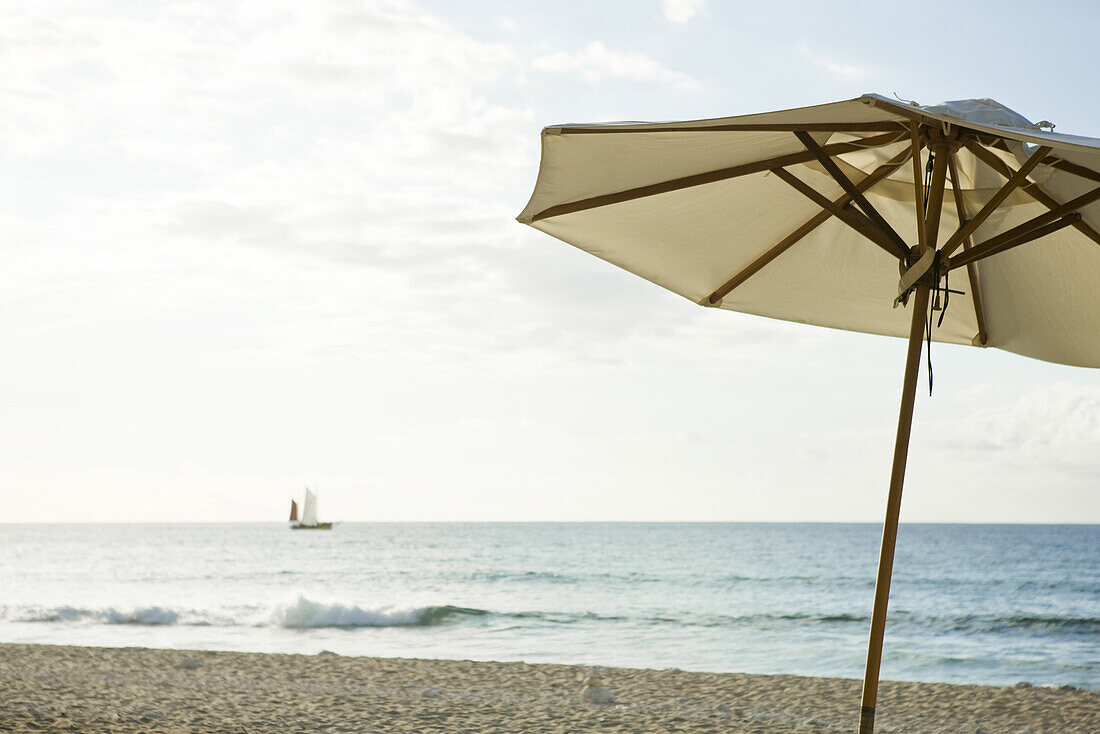 Beach umbrella