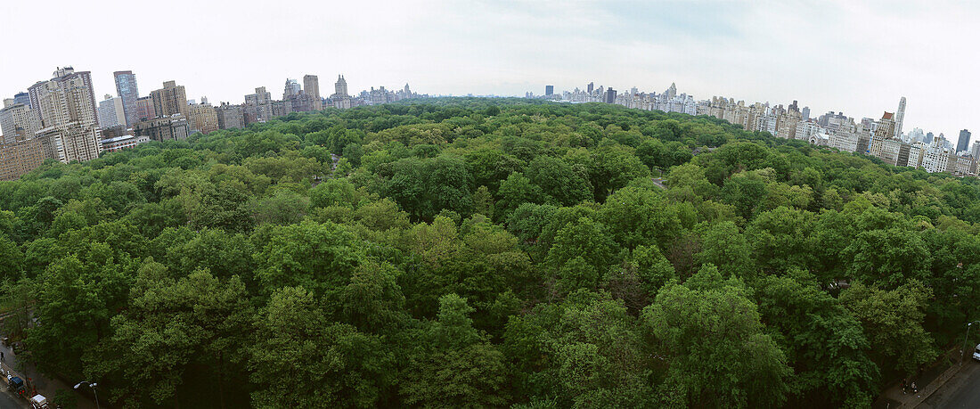 United States, New York, Central Park, treetops with skyline in background, panoramic view