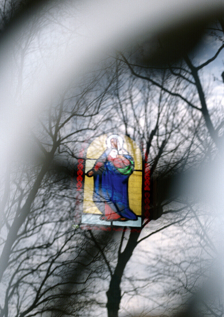 Stained-glass window and trees, superimposition of images