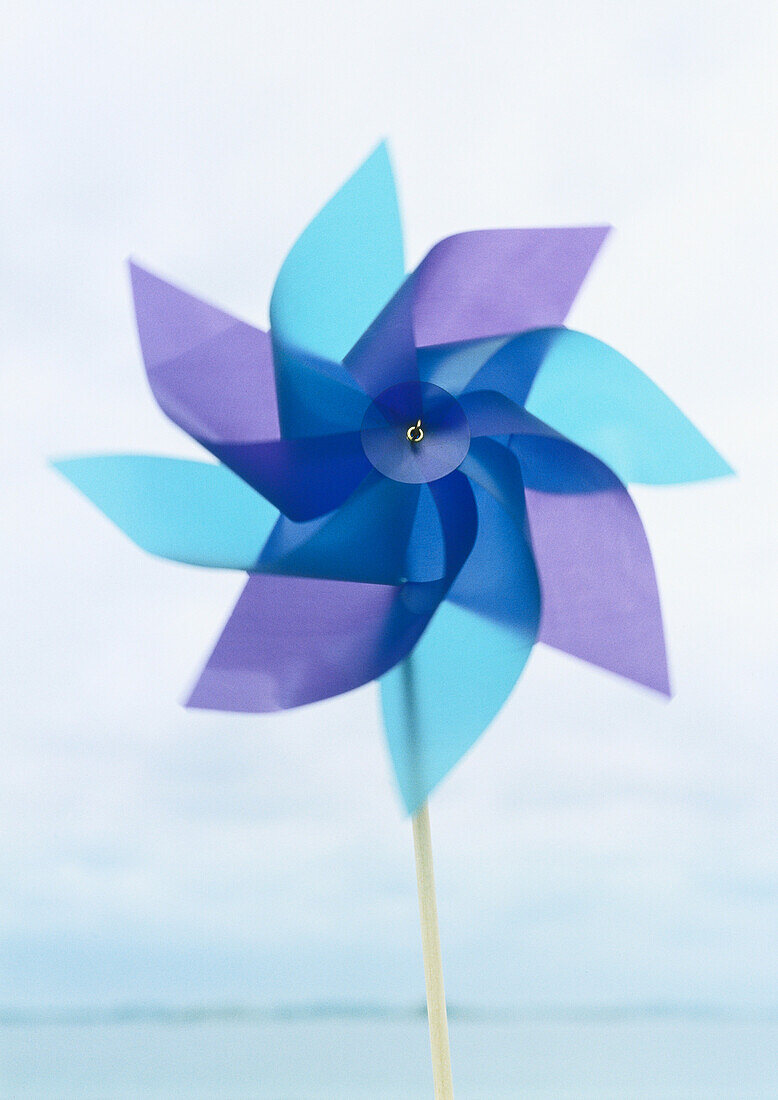 Pinwheel, close-up