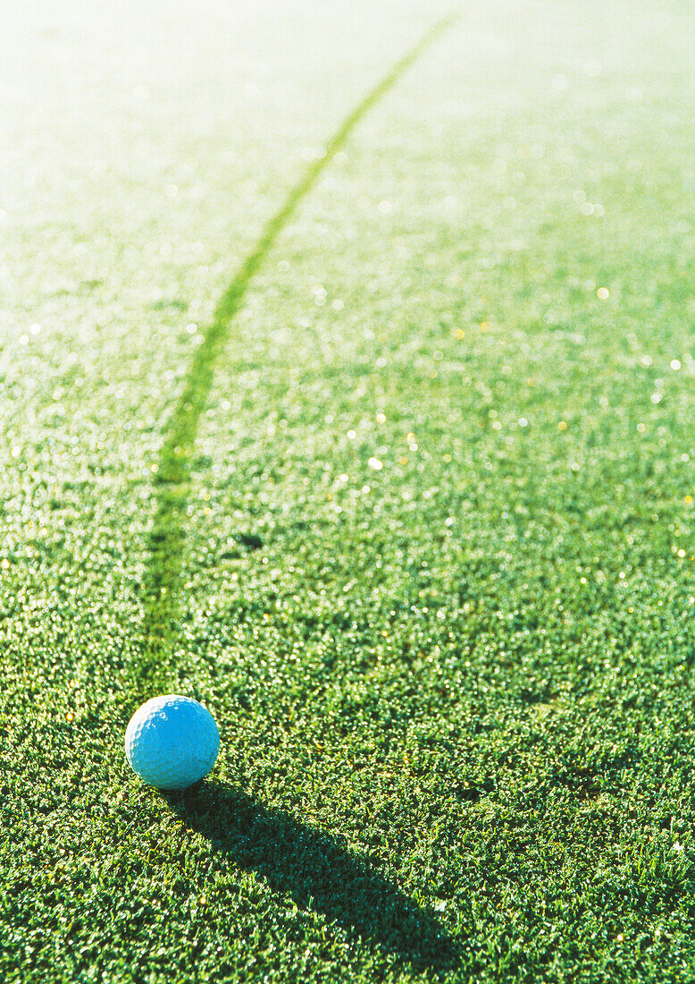 Golf ball on dew-covered green
