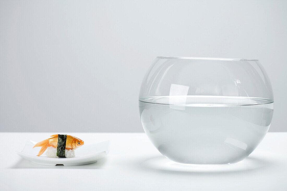 Goldfish prepared as nigiri sushi and empty fishbowl